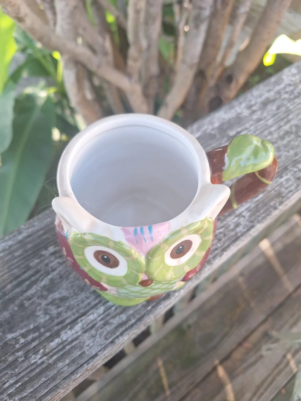 Pier 1 Hand-Painted Owl Mug — Green and Purple
